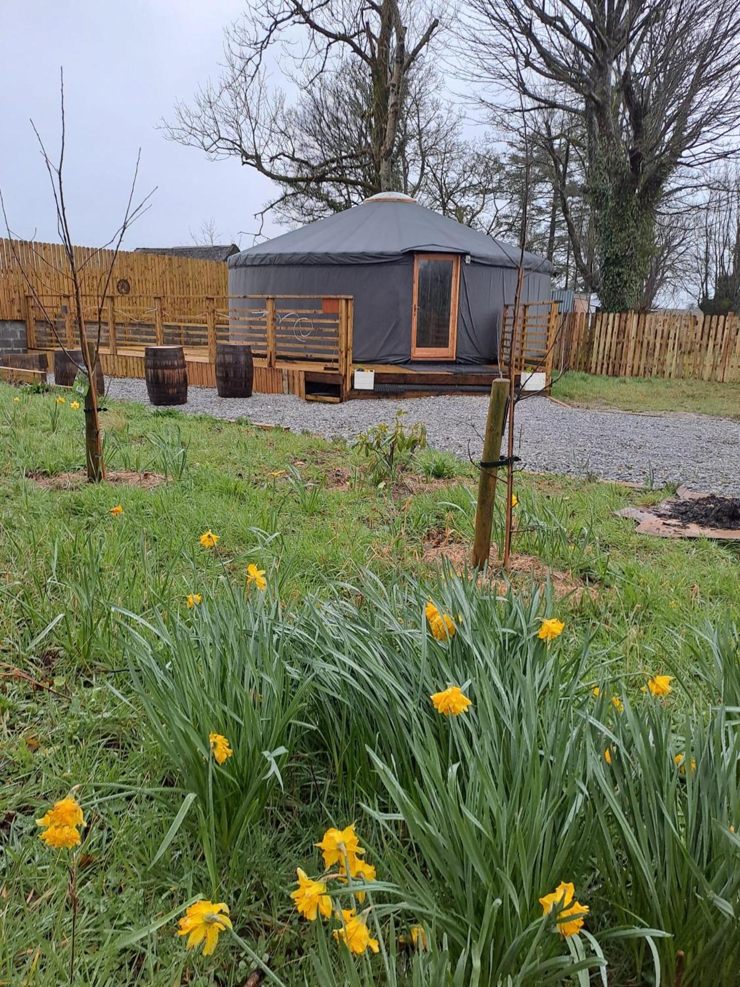 Hotel The Snowdrop Galway Exteriér fotografie